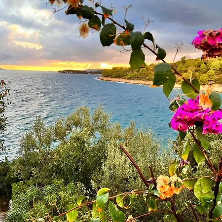 Luxury Beachfront Carlisa