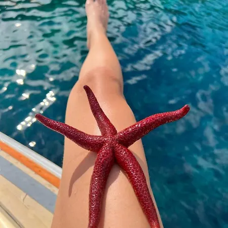 شقة Luxury Beachfront Carlisa Čiovo